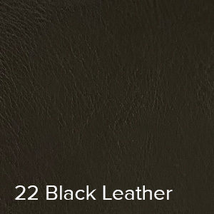 22 Black Leather